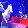 Big Apple Circus Will Be Back For Its 40th Season Next Fall